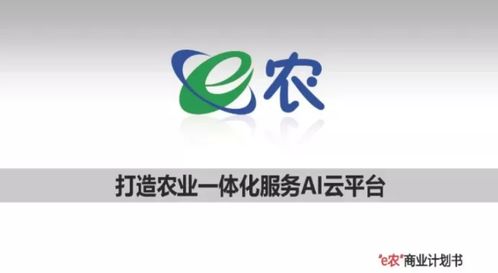 e农2019年商业计划书 打造农业一体化服务ai云平台 附农业电商农产品电商bp