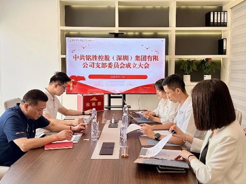献礼华诞,筑梦前行 铭胜控股集团党支部正式成立