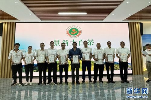 景谷大白茶公共标识正式启用