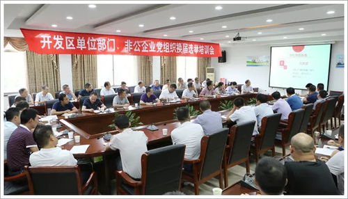 我区召开单位部门和非公企业党组织换届选举培训会