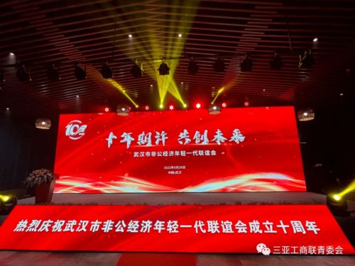 三亚市工商联青年企业家委员会与武汉市非公经济年轻一代联谊会缔结友好商会