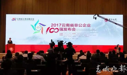 2017云南省非公企业100强榜单出炉(附详细名单)-财经频道-手机