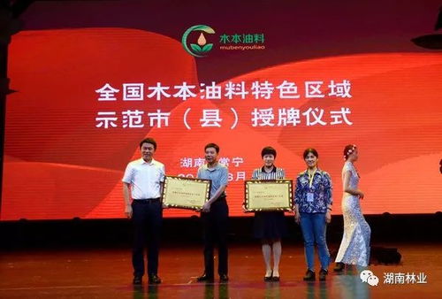 2018中国 常宁 油茶旅游文化节开幕